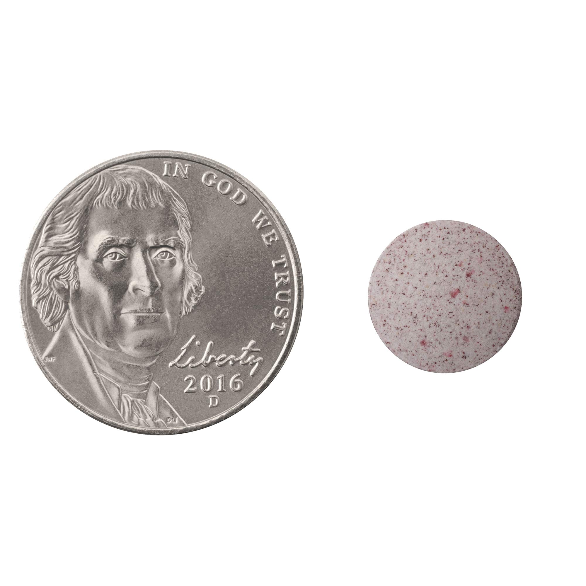 Natrol Vitamin B12 Fast Dissolve Tablets, Promotes Energy, Supports a