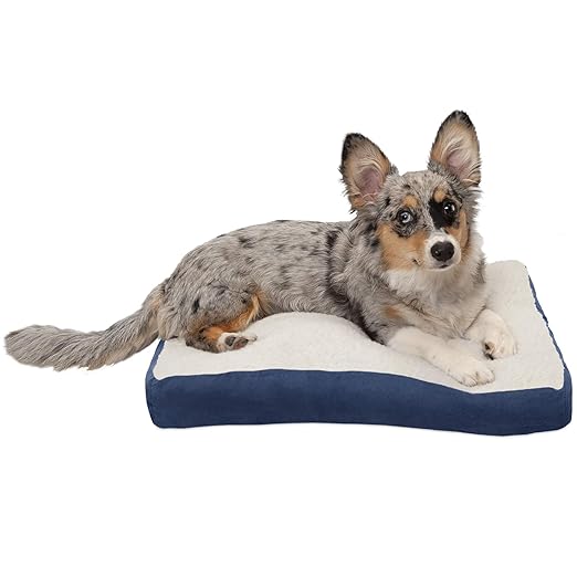 dog beds on amazon prime