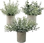 Plantes artificielles décoratives en pots 3 - Mini Plantes en pot: Eucalyptus en plastique, Feuilles de Chrysanthemum, gazon Jade Leaf. Faux intérieur pour bureau, Table à café, Mur, Décoration de chambre