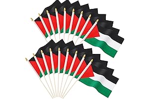 AUGSHY 22-Pack Mini Palestine Flag Sticks