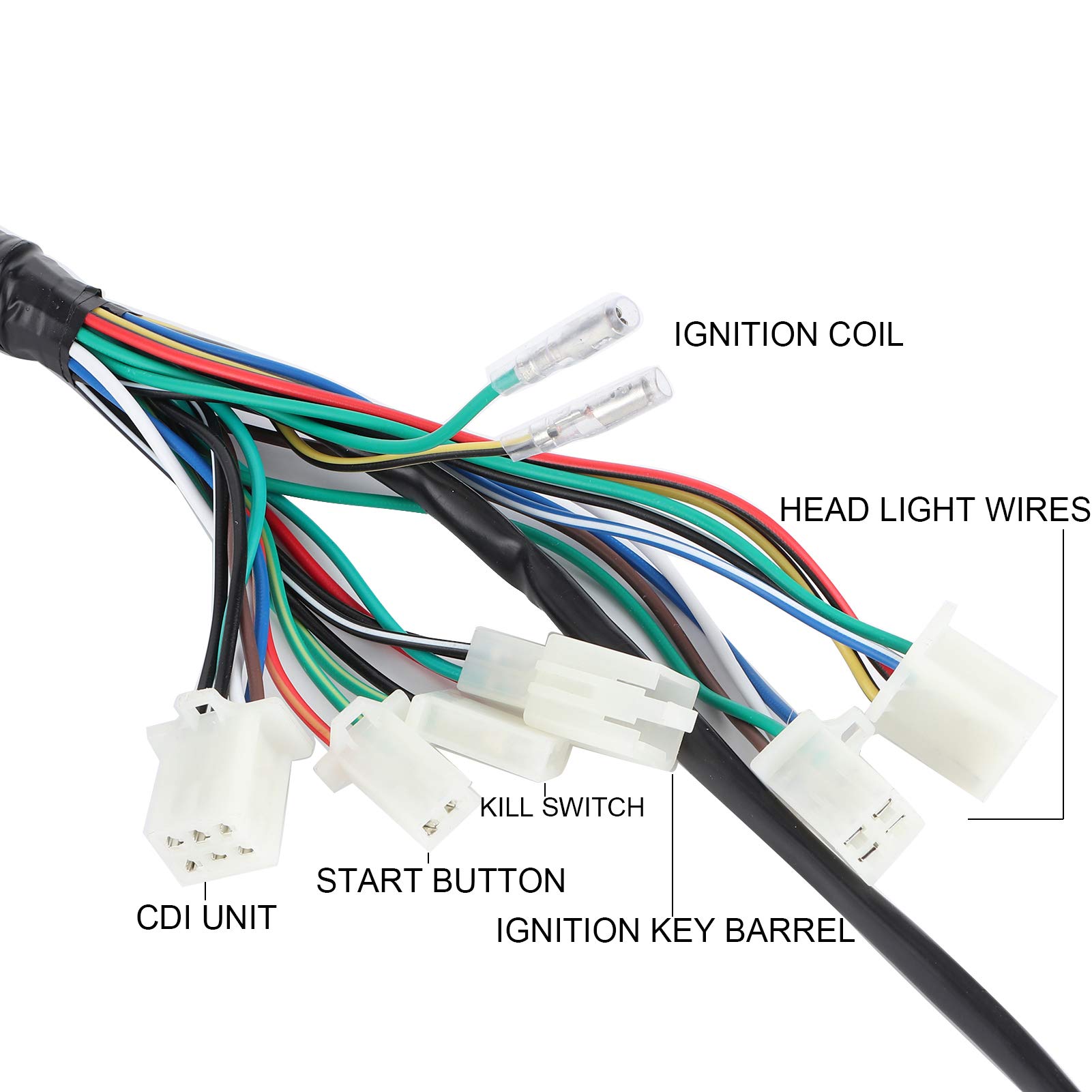 Cablaggio Motore Per Moto Dirt Bike 50-140cc | Kit Completo Per Sostituzione E Upgrade - Foto 11