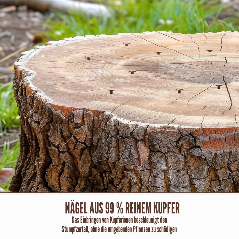15 Stück Kupfernägel für Bäume Große 89mm Kupfernägel Baumkiller - Nägel Nägel
