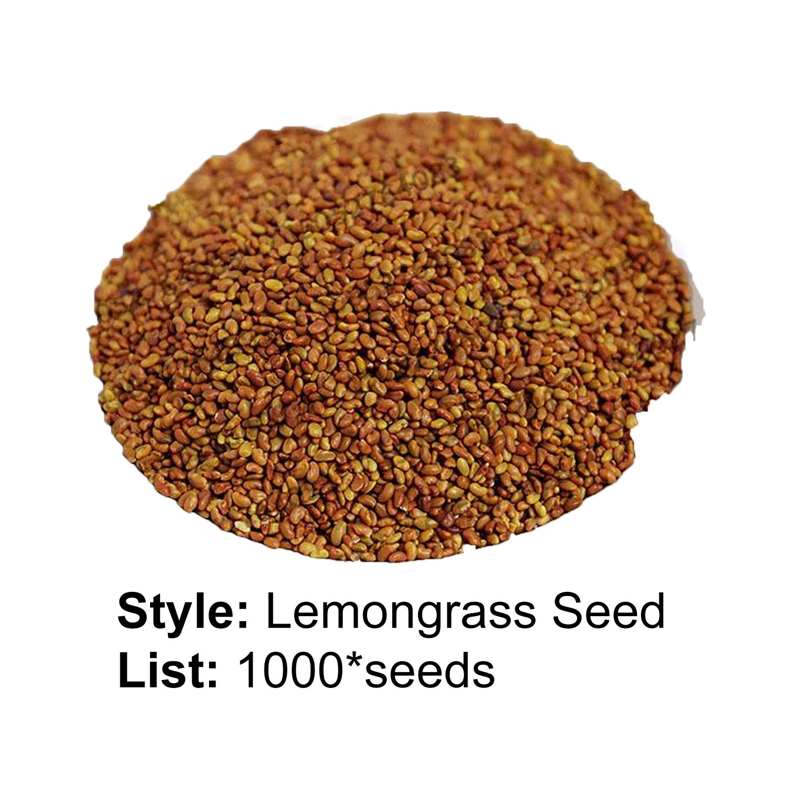 Semi Di Citronella (Cymbopogon Flexuosus) - Bustina Per Coltivazione, Pianta Aromatica - Foto 8