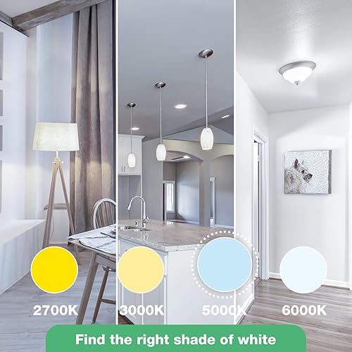 Miniatura 6 de Bombillas LED A19, bombillas LED equivalentes a 100 W, luz diurna 5000 K, 1500 lúmenes, base estándar E26, no regulable, bombillas LED blancas