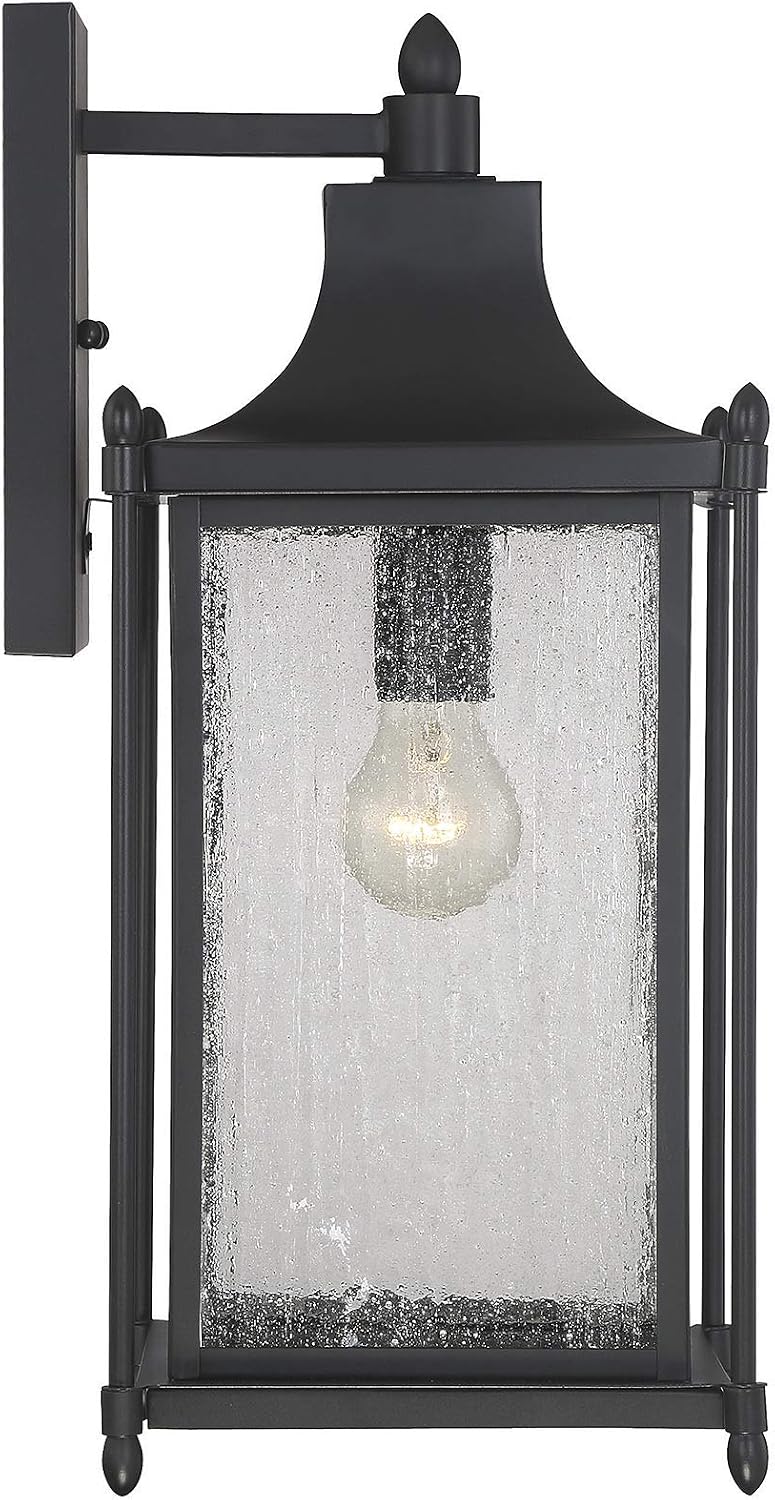 Savoy House 5-3452-BK Dunnmore Modern Farmhouse Clear Seeded Glass Outdoor Wall Lantern, 1-Light 60 Watt, 18" H x 8" W, Black