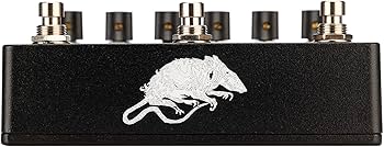 Amazon.com: EarthQuaker Devices Sunn Life Pedal V3 : Musical