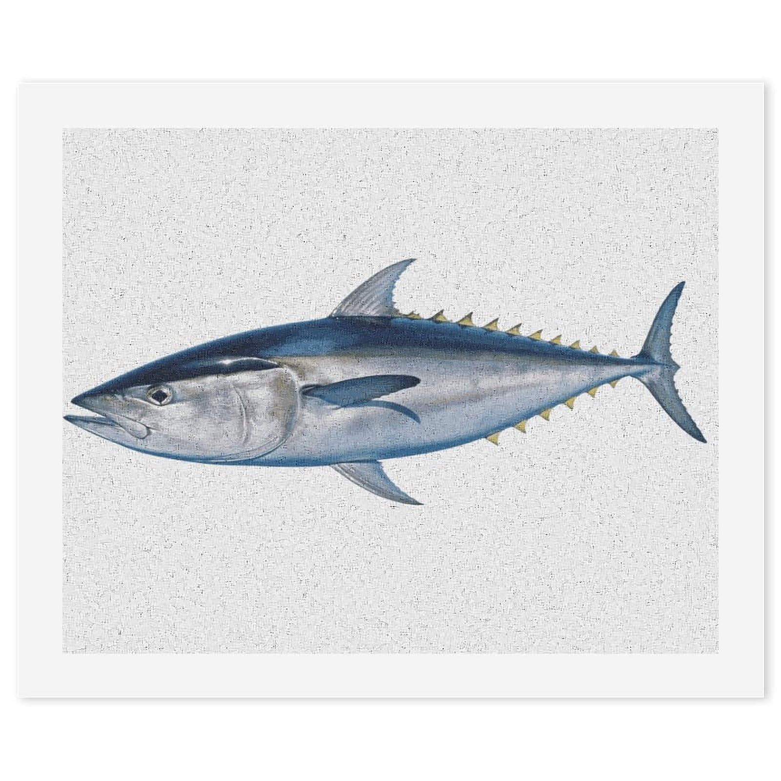 LDGSUPH Tuna Thunnus Paint by Numbers Kits for Adults Beginners Exquisite Digital Oil Painting Kits Painting Anti-fading Canvas Wall Art DIY Gift for Home Wall Decor
