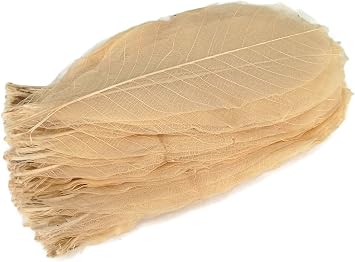 Skeleton Leaves 8 Inch 100 pcs Natural Rubber Leaves Flower Making Floral Scrapbook Craft Wedding Card