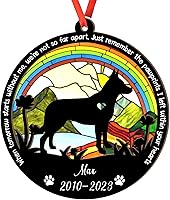 Vista 64 de Adorno de atrapasoles de setter irlandés personalizado, adorno de Navidad de Setter irlandés, regalo para perro amante, setter irlandés