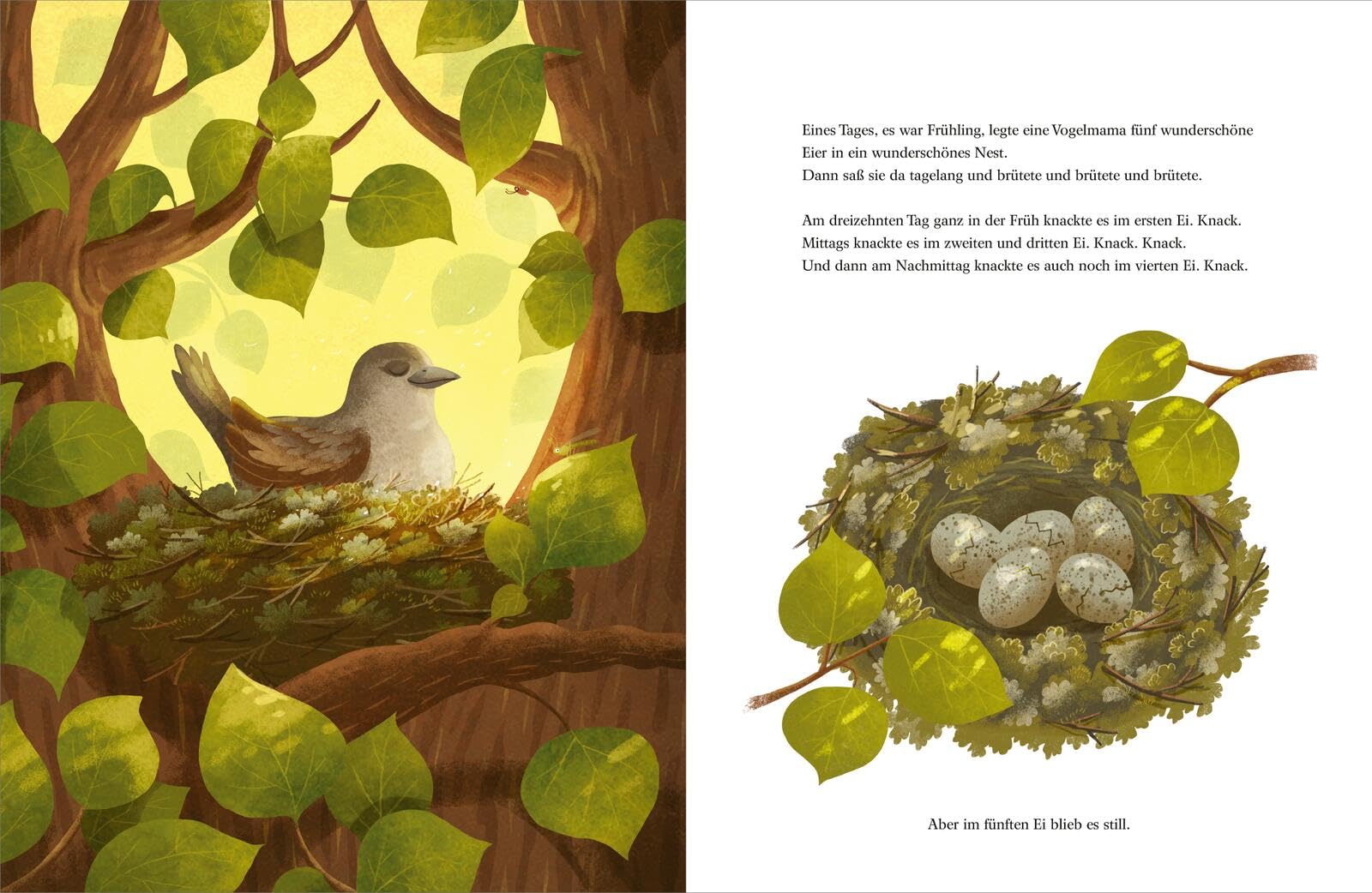Morgen bin ich mutig: Einfühlsames Bilderbuch über Sorgen, Ängste, Mut & Selbstvertrauen | für Kinder ab 3 Jahren (Biderbuch-Duo Sabine Bohlmann und Emilia Dziubak)