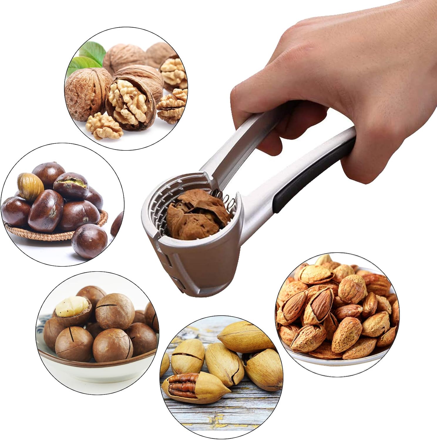 Nut Crackers for Nuts Walnut Cracker for Pecans Hazelnut Walnuts