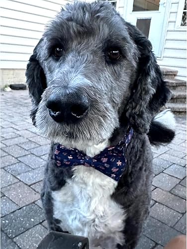 Miniatura 9 de Lionheart glory Collar de perro con lazo, collar de perro azul con lazo, collar de verano para perros pequeños o niñas, collares ajustables suaves y