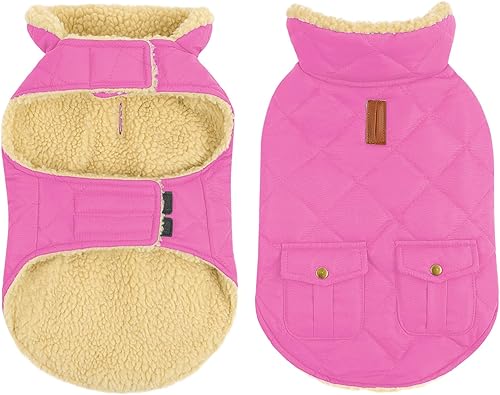 Queenmore Abrigo de invierno para perro, chaqueta de invierno de forro polar para perro, ropa impermeable para perros para clima frío, acolchado de