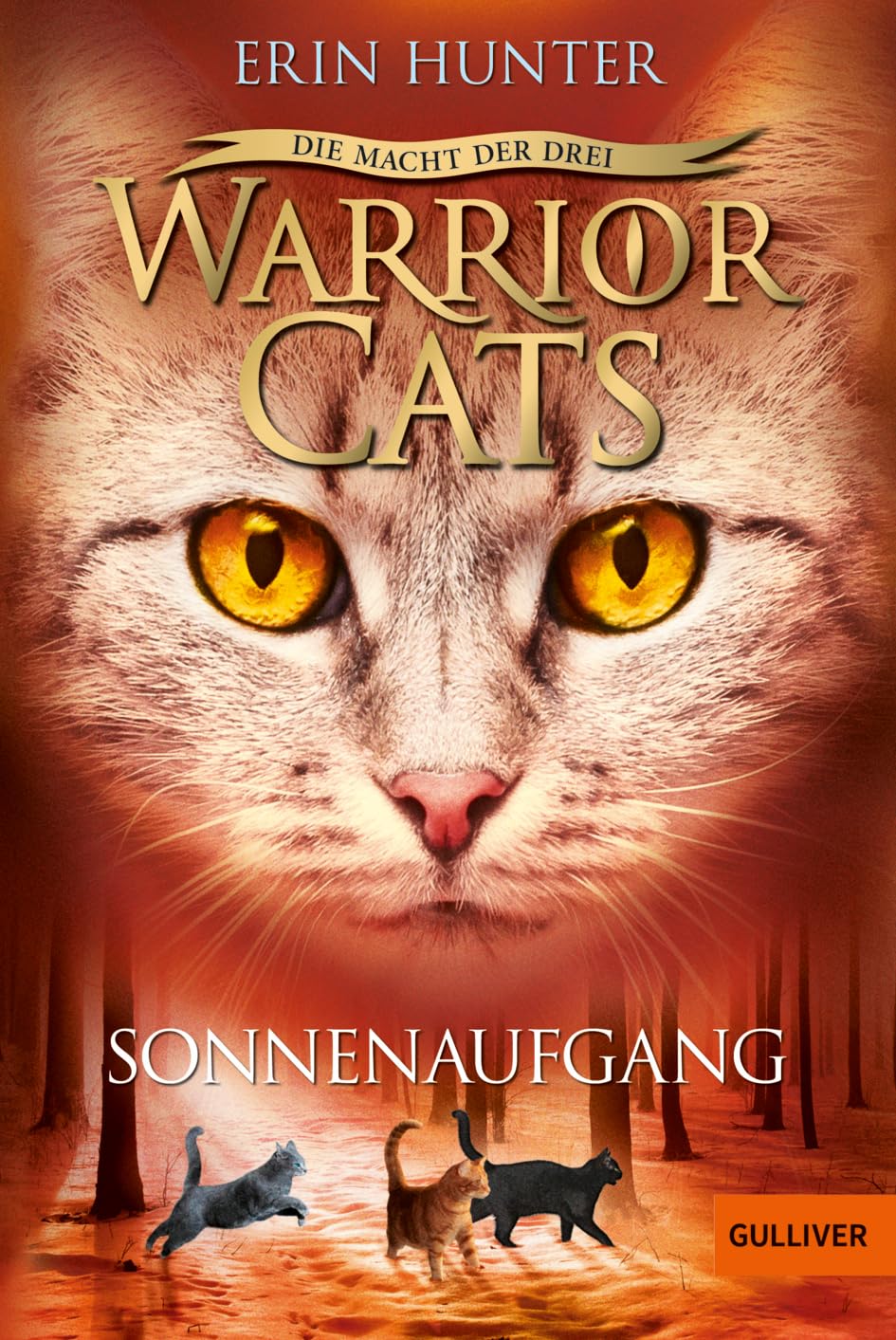 Warrior Cats Staffel 3/06. Die Macht der drei. Sonnenaufgang
