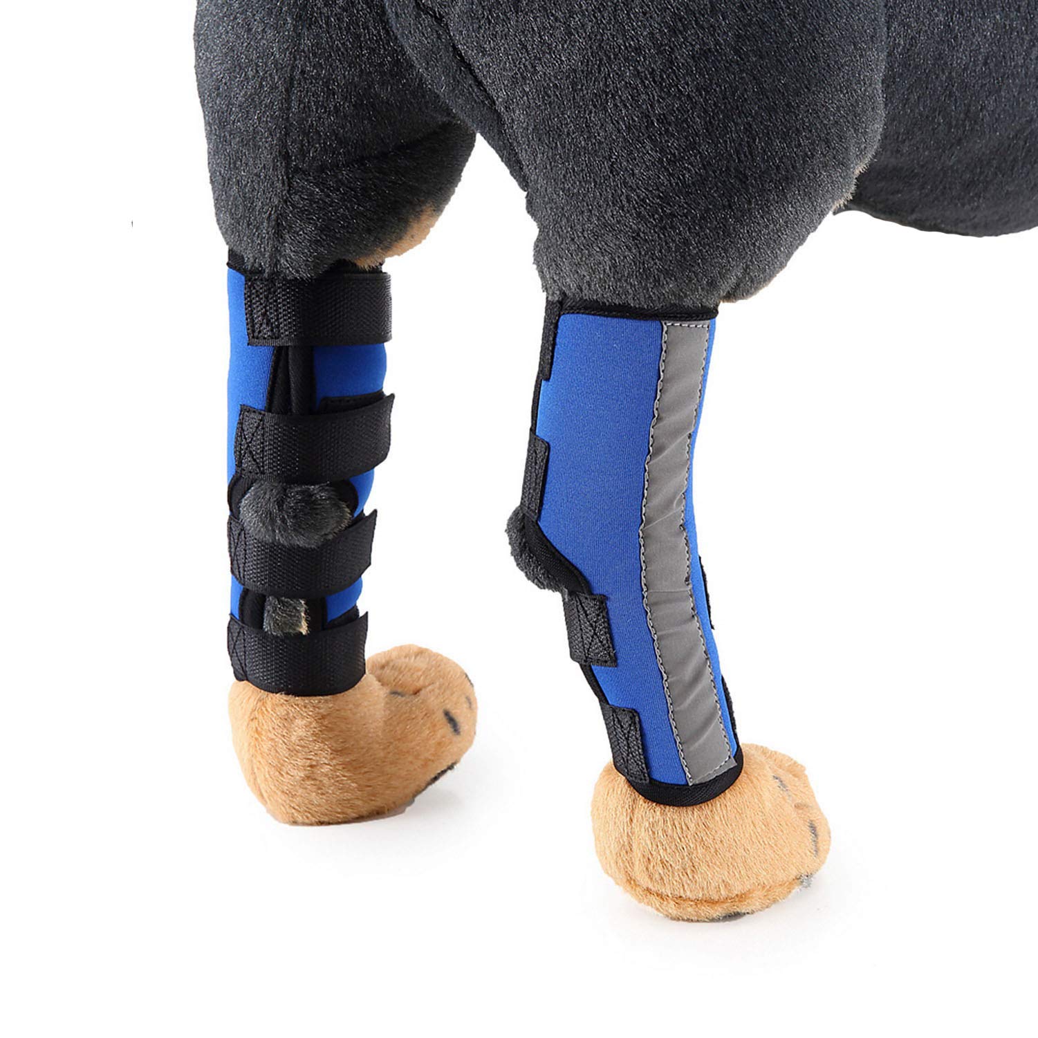 Zunea Dog Canine Rear Leg Brace with Safety Reflective Strap Hind Leg Compression Sleeve Hock Joint Wrap Protector and Extra Supportive for Stability, Wound Injury, Sprain Healing Blue S