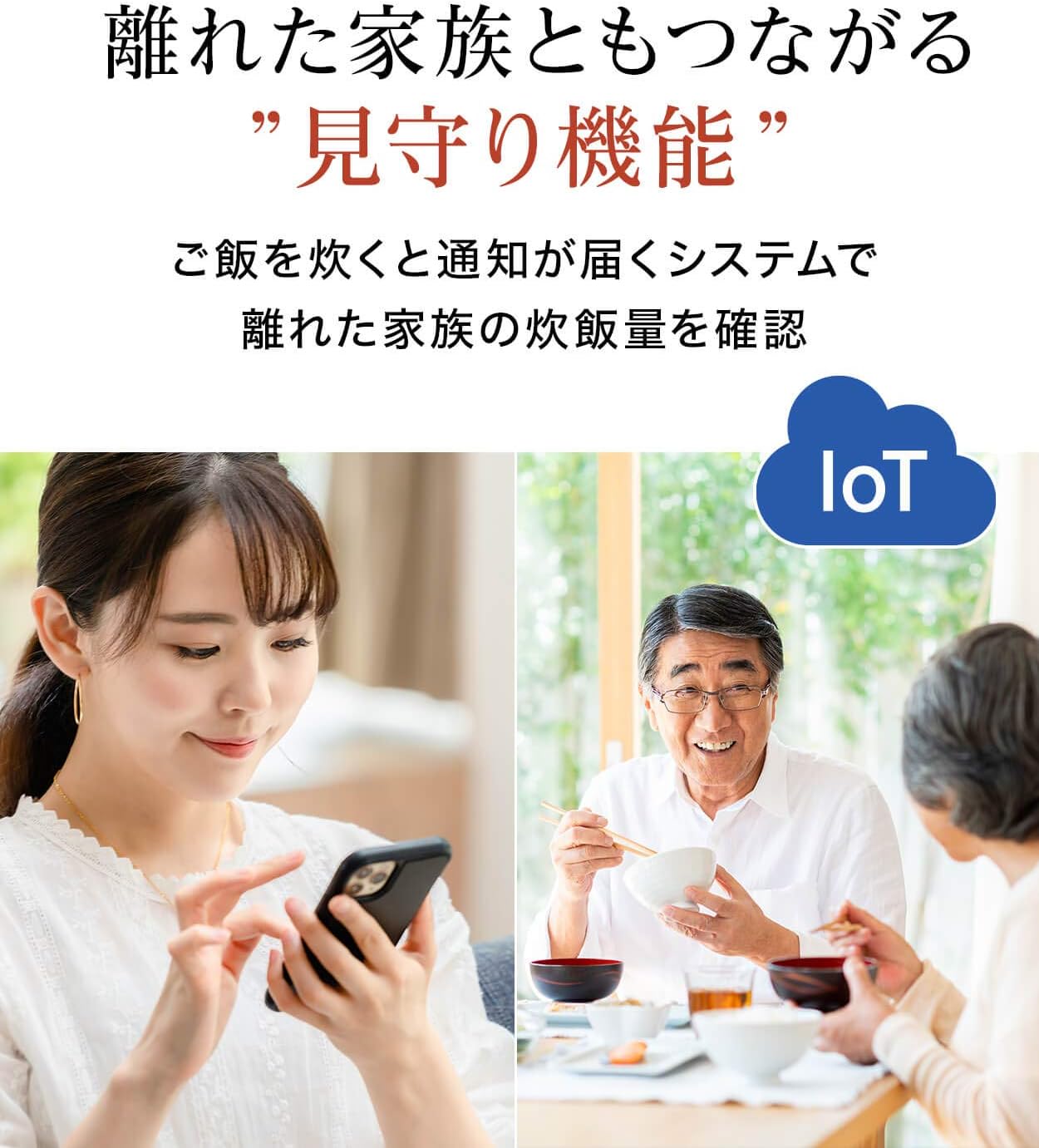 Tiger Variable Pressure IH Rice Cooker (5.5 cups) Classic Black JPA-X 100 KC