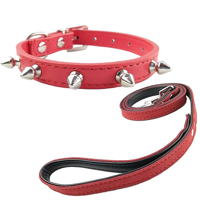 Newtensina Collar de Cachorros de Moda y Correa con Pernos Collar de Perro Tachonado de Puntas con Correa…