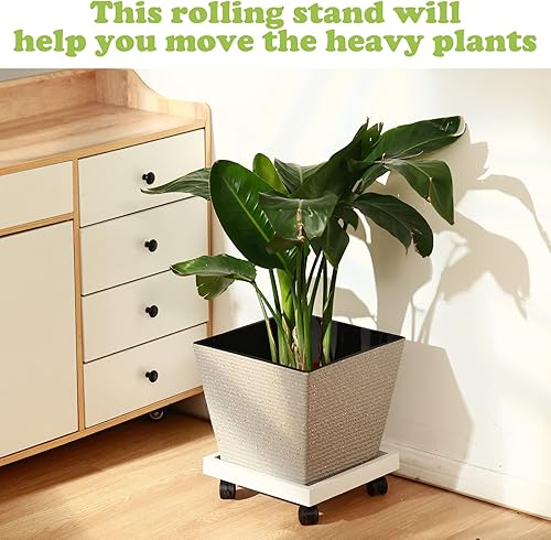 Miniatura 5 de 4 paquetes de 12 pulgadas cuadrados para plantas con ruedas, soporte rodante para plantas en maceta, carrito de plantas resistente con ruedas para