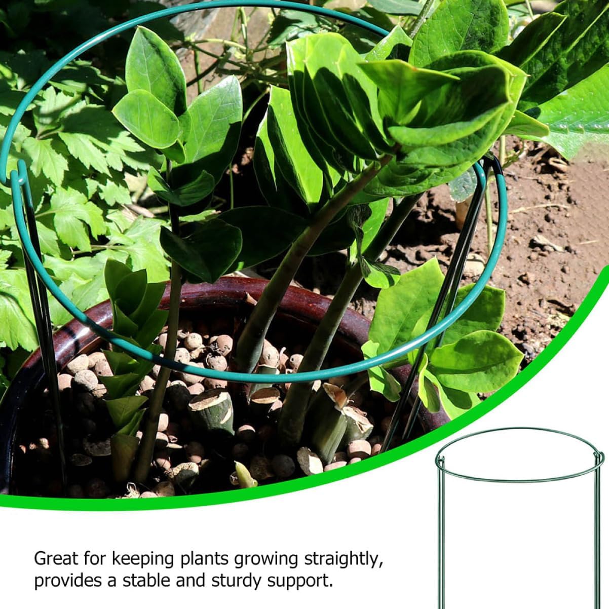 4pcs Half Plant Support Frame Iron Garden Trellis for Bushy Plants Rose Peony Cucumber Tomato Strong Support