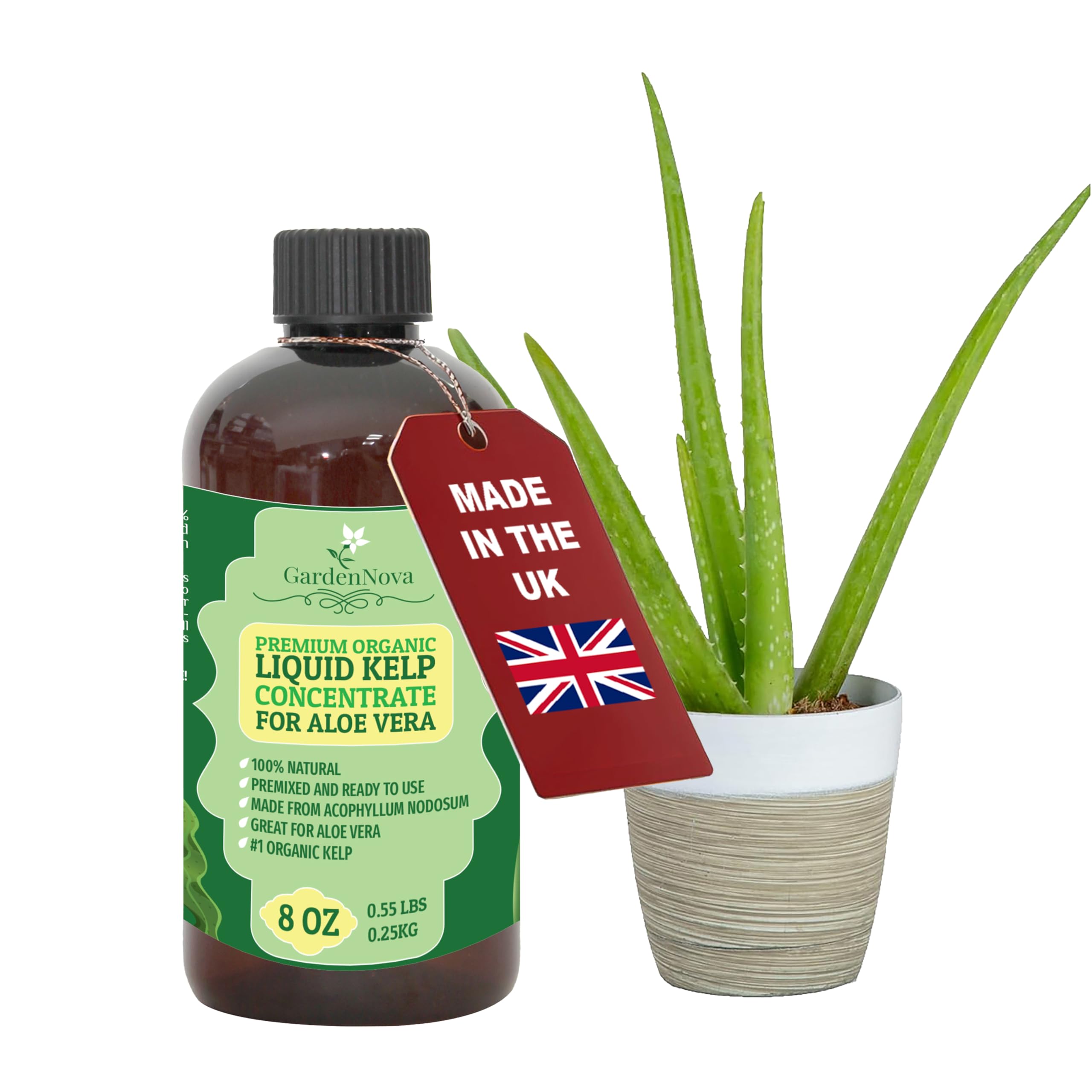 GARDENNOVA Premium Organic Seaweed & Kelp Superfood for Aloe Plants - 8 oz - Liquid Kelp Fertilizer Concentrate (Makes 25 Litres)