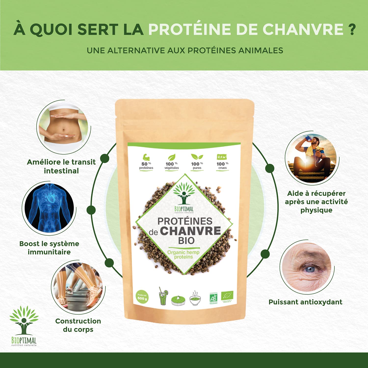 Protéine de Chanvre Bio - Bioptimal - 50% de Protéines - BCAA Oméga 3 Fibres - Poudre de Graine de Chanvre Crue - Cultivé en Europe - 100% Pur - Conditionné en France - Certifié par Ecocert - 500 g