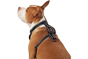 Max Ultra Durable Neoprene Padded Chest Plate Dog Harness by The Barker Company (Black, Large)