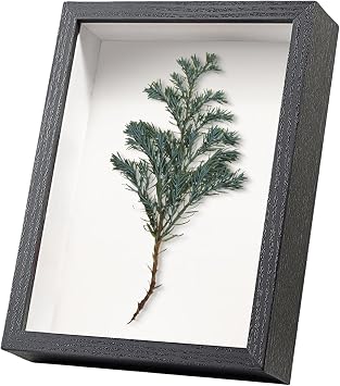 Black Picture Frames Shadow Box - 8X8 Wall & Tabletop Photo Frame Deep for Crafts 3D Square with Mount for Medal Flower Black432,Depth 3cm