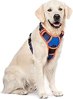 Vista 75 de rabbitgoo Arnés para perro, arnés sin tirones para mascotas con 2 clips para correa, chaleco acolchado suave ajustable para perro, chaleco Oxford