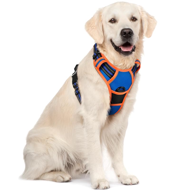 Peitoral vest ajustável para cães grandes rabbitgoo com 2 argolas de guia Blue & Orange (X-Large)