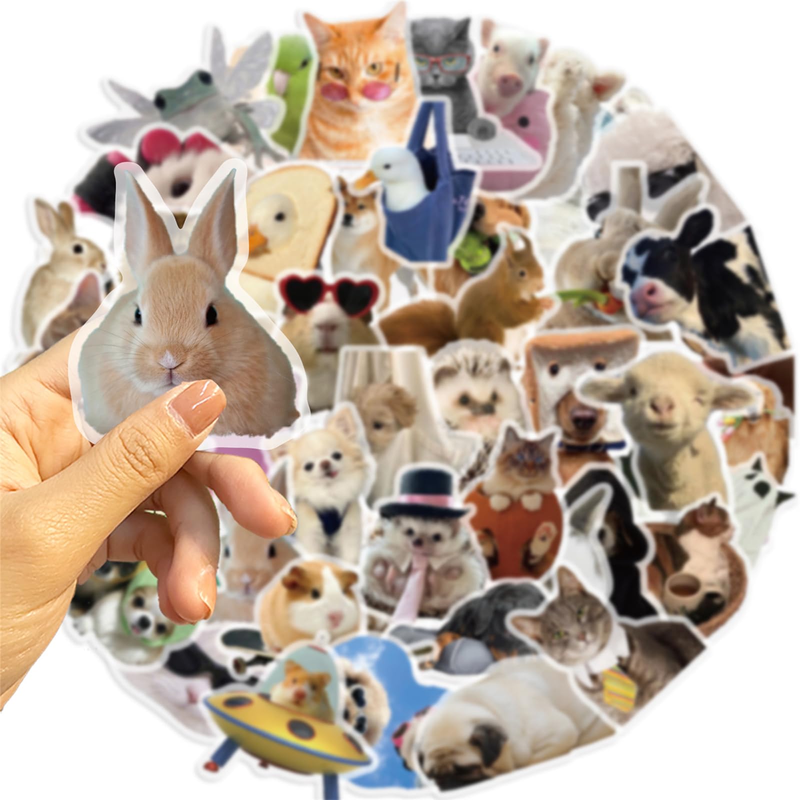 CDMEME-PET Lot de 50 autocollants transparents amusants en PET pour scrapbooking, journaux, cadeaux pour enfants et adultes, fabrication de cartes, lettres