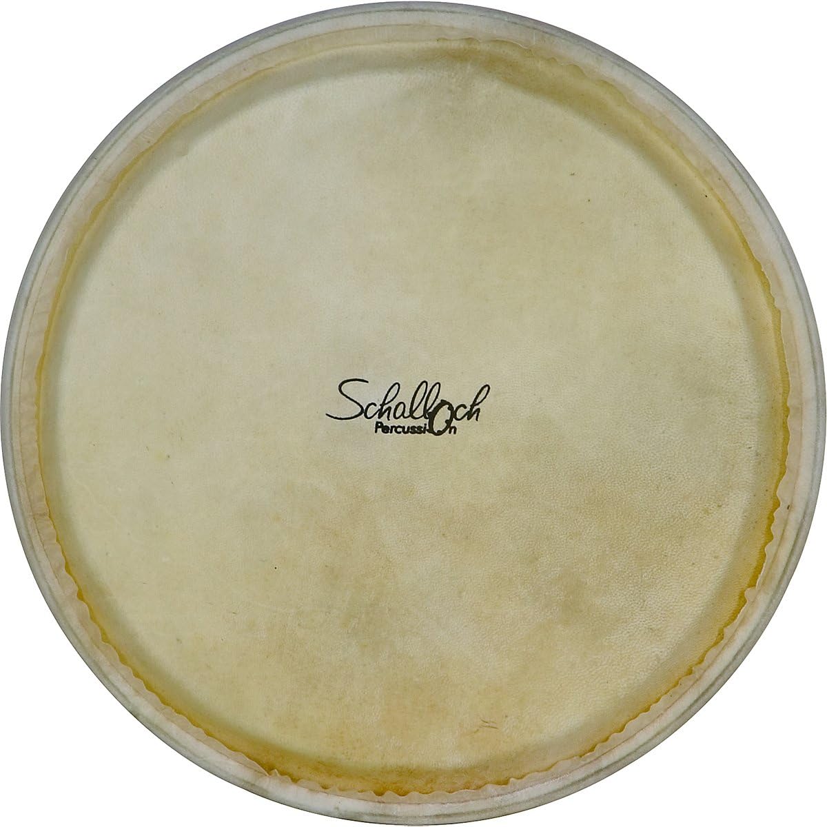 Djembe Goat Skin Replacement Head 12 Inches