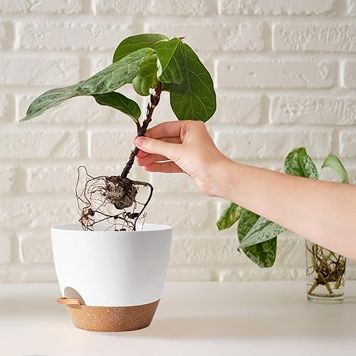 Miniatura 6 de Macetas de riego automático blancas con drenaje para plantas de interior, macetas de plástico para plantas de exterior, idea de regalo, macetas