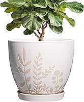 Vista 15 de Maceta de cerámica de 6 pulgadas con platillo - Maceta pequeña para flores con drenaje para suculentas y hierbas, decoración de escritorio boho