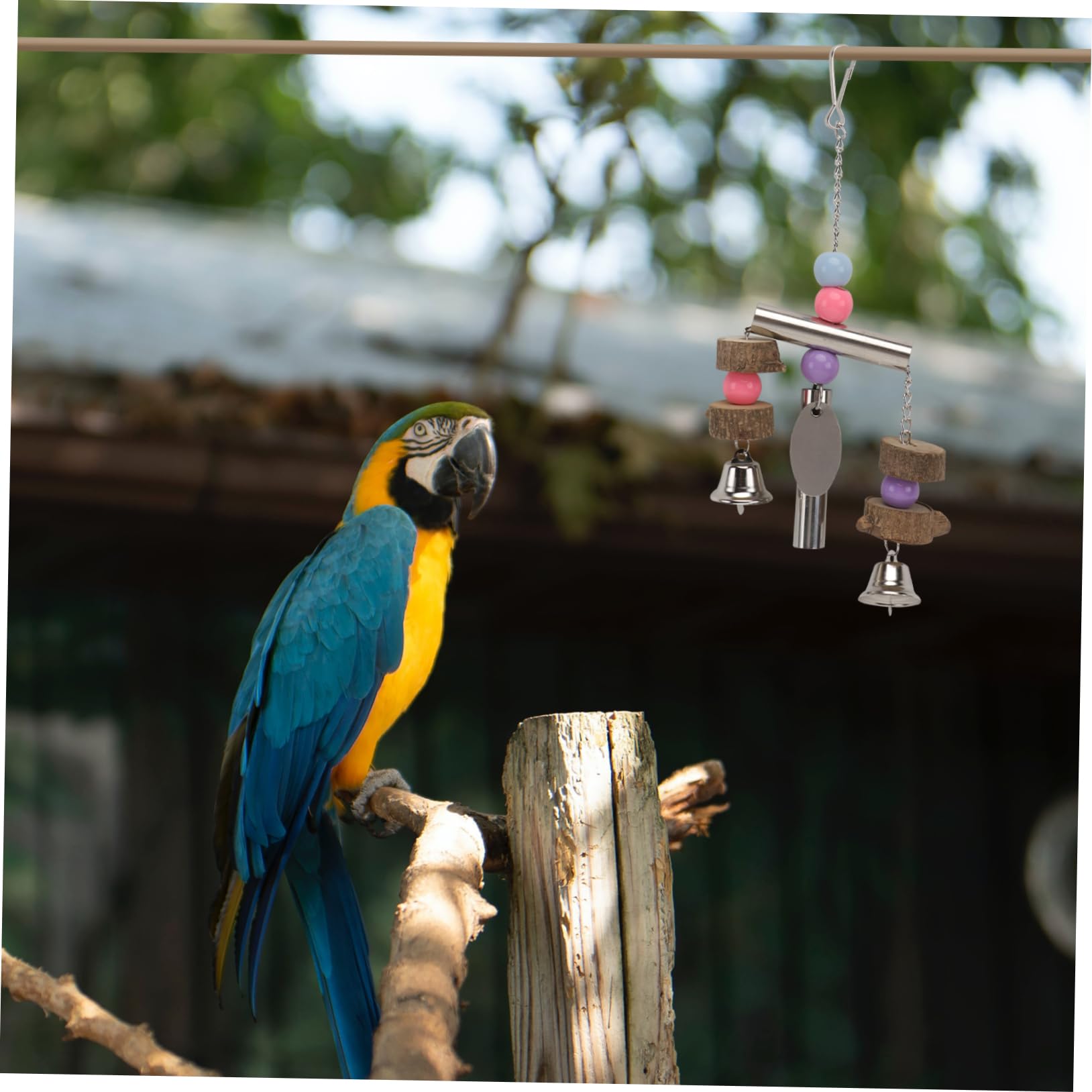 DOITOOL 3pezzi Giochi Per Uccelli Acciaio Inossidabile Con Campanella Giocattolo Appeso Per Pappagalli Per Cage Decor e Divertimento Del Tuo Pet