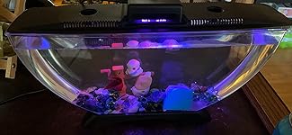 Review Image by Amazon Customer Amazon Customer