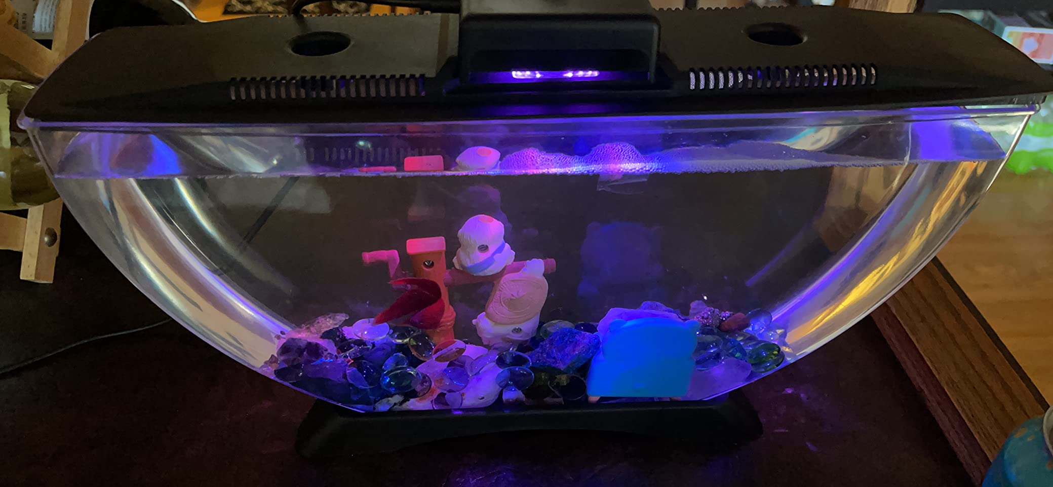 6/mo Finance BettaTank 1Gallon Deco Fish Tank with LED Lighting