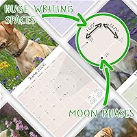 Vista 423 de Razas de Perros 2017