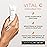 IMAGE Skincare, VITAL C Hydrating Repair Crme, Face Night Cream with Hyaluronic Acid, Discovery Size, 1oz