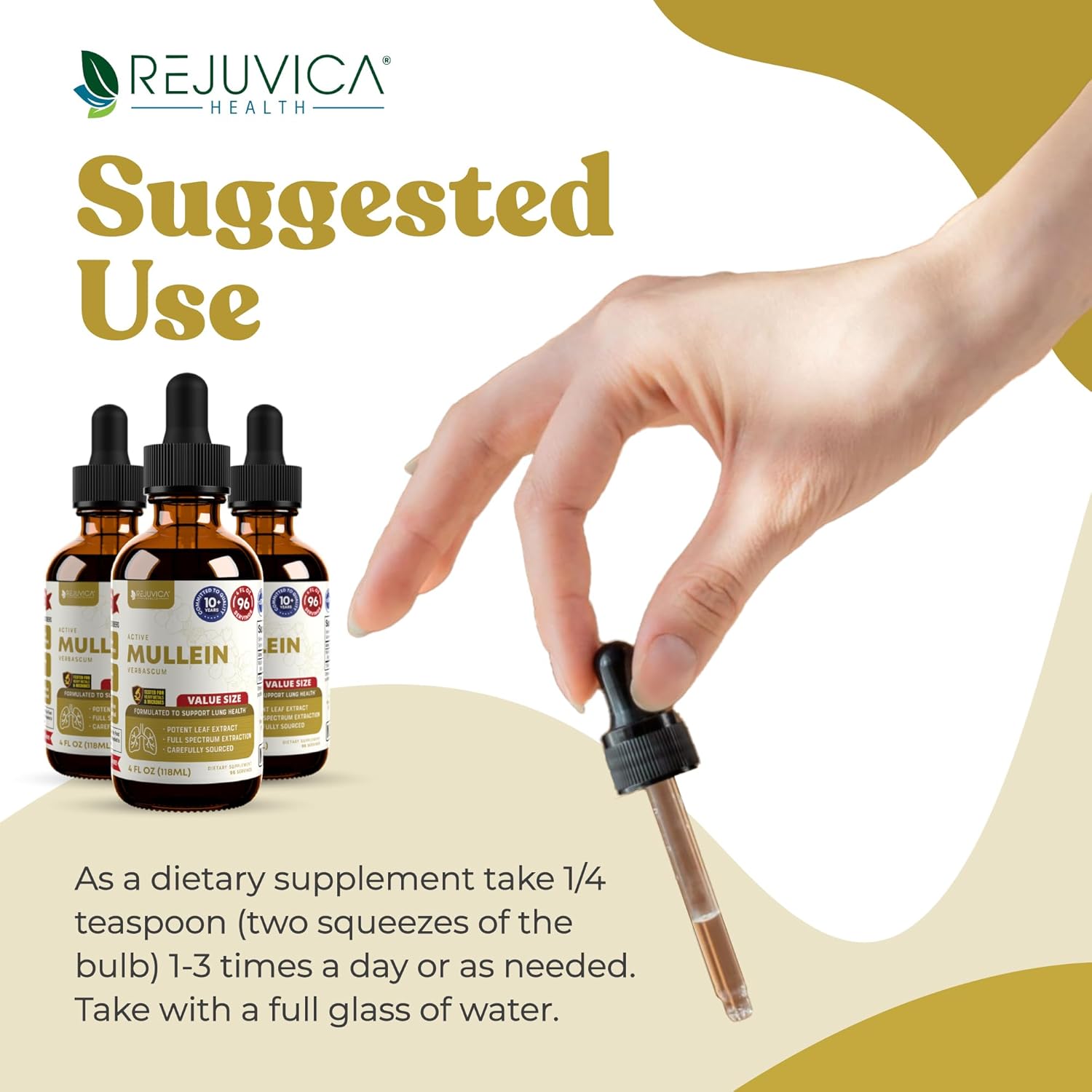 Rejuvica Health Active Mullein 4oz XL Super Size - Advanced Mullein Liquid Extract - Lung Support Drops - Vegan Sugar Free Non GMO Tincture 3 Pack