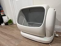 Review Image by Runnly