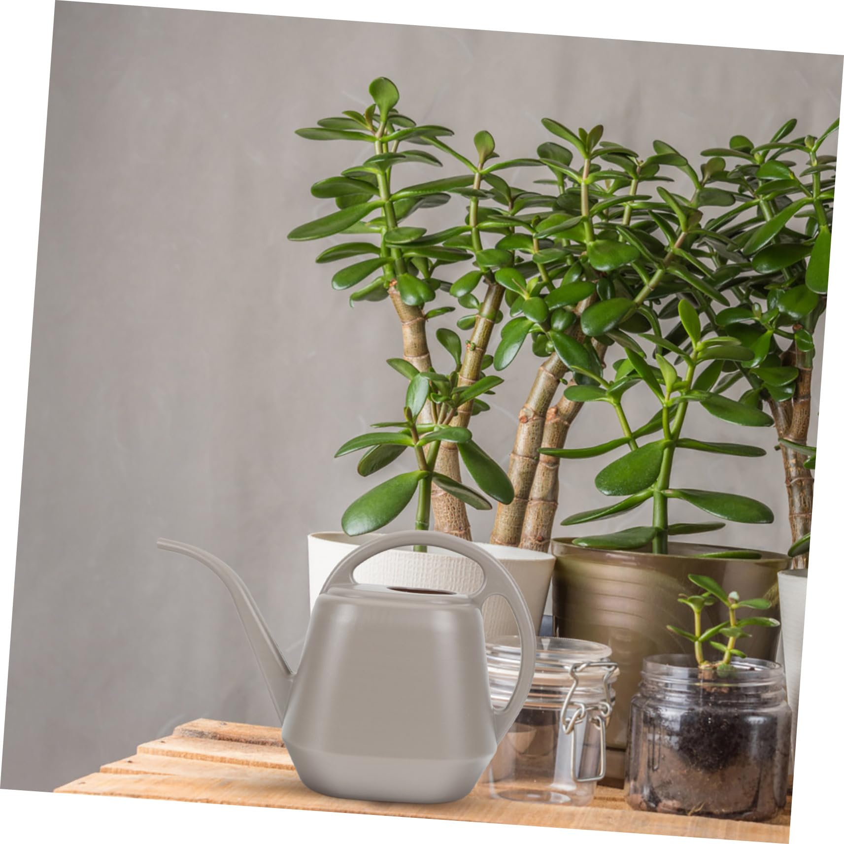 Regadera para Flores de Interior y Exterior Boquilla Larga, Capacidad 4l, Plástico Resistente Color Café para Riego de Plantas y Suculentas