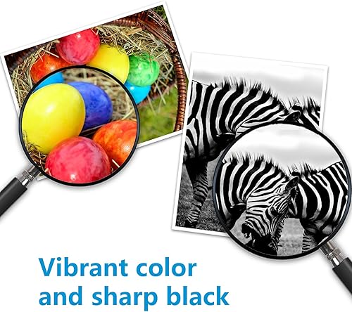 972X High Yield Black PageWide Cartridge F6T84AN Compatible Replacement for HP972X Black Ink Cartridge 972A Works with PageWide Pro 452dn 452dw 452dwt 477dn 477dw 477dwt 552dw 577dw 577z Printer Ink