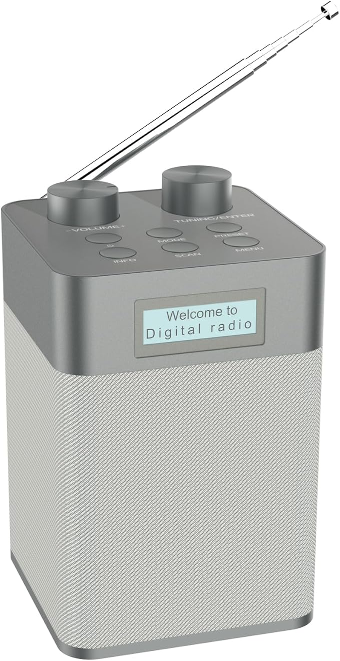 Mycket DAB/DAB+ Digital & FM Radio, Radio DAB Portatile, Ricaricabile ...