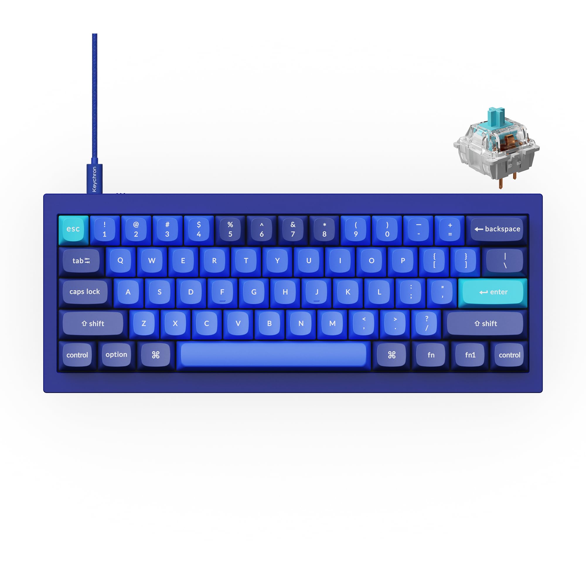Amazon.in: Buy Keychron Q4 Wired Custom Mechanical Keyboard, 60