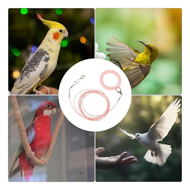 Foto 4 de 8 de Cuerda voladora para pájaros, cuerda de entrenamiento para loros, ligera, para evitar que los pájaros escapen
