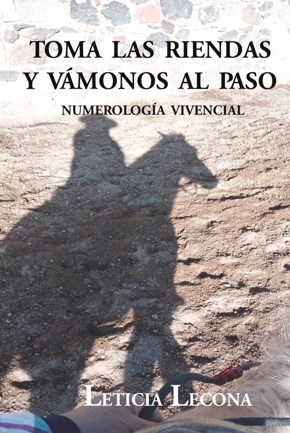 Toma las riendas y vámonos al paso: Numerología Vivencial