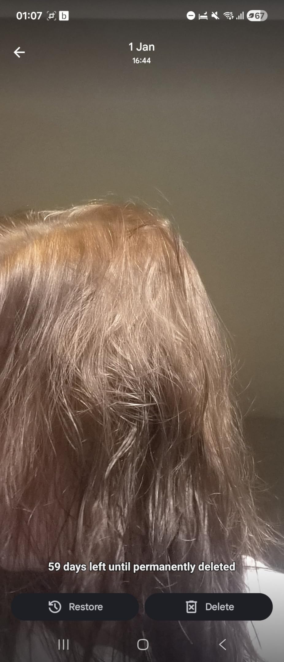 Hair Colour Removers, Straighteners & Argan Oil Hair Care - View #4