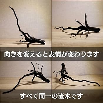 アクアリウム用　流木3本セット　アク抜き済み Amazon | 45cm水槽用 流木3本セット（黒色）【AQUASHOP