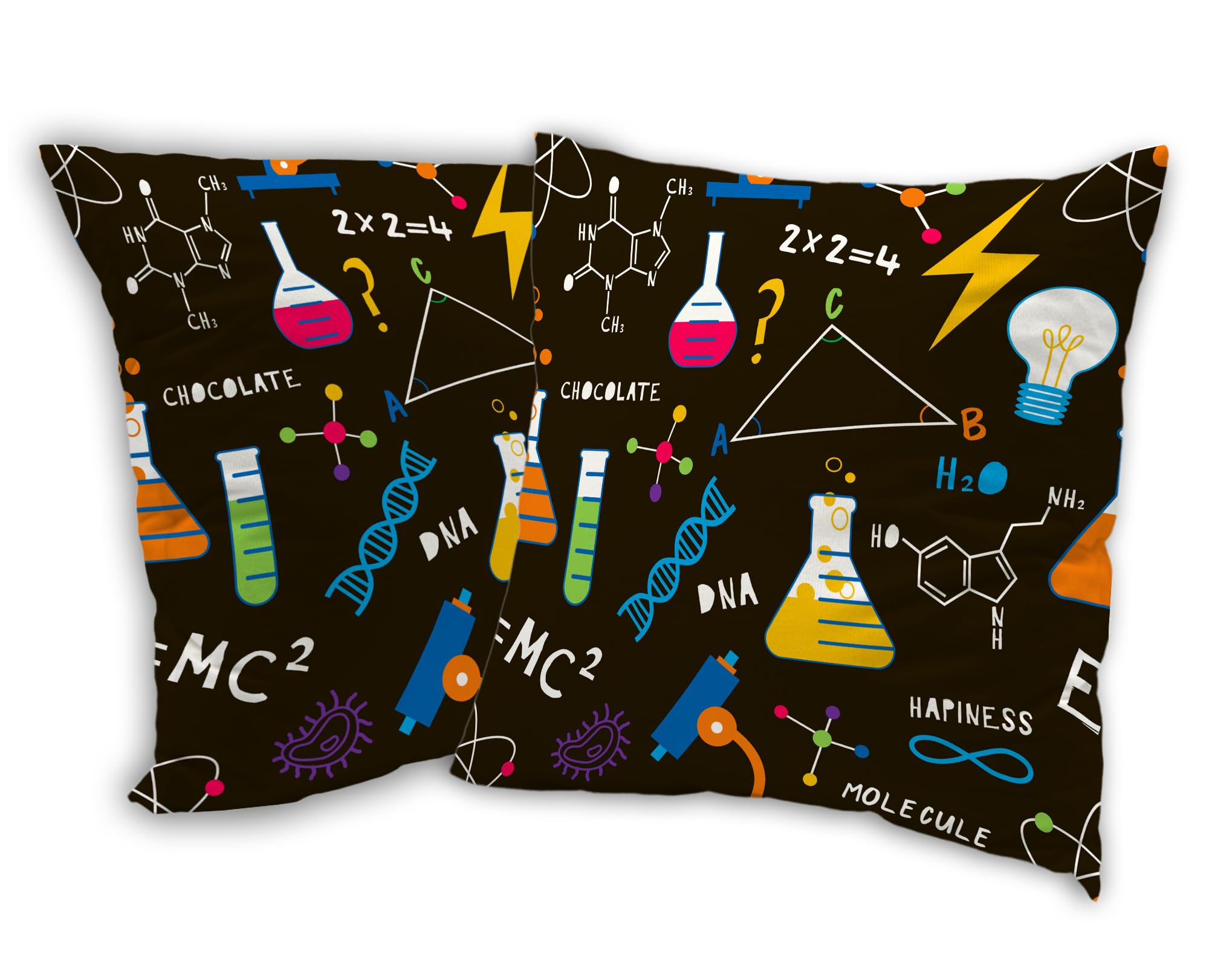 SKYDAWNY Science Chemistry Throw Pillow Covers 18x18 in Set of 2 Flasks Chemicals Formula Pillow Cases Decorative Soft