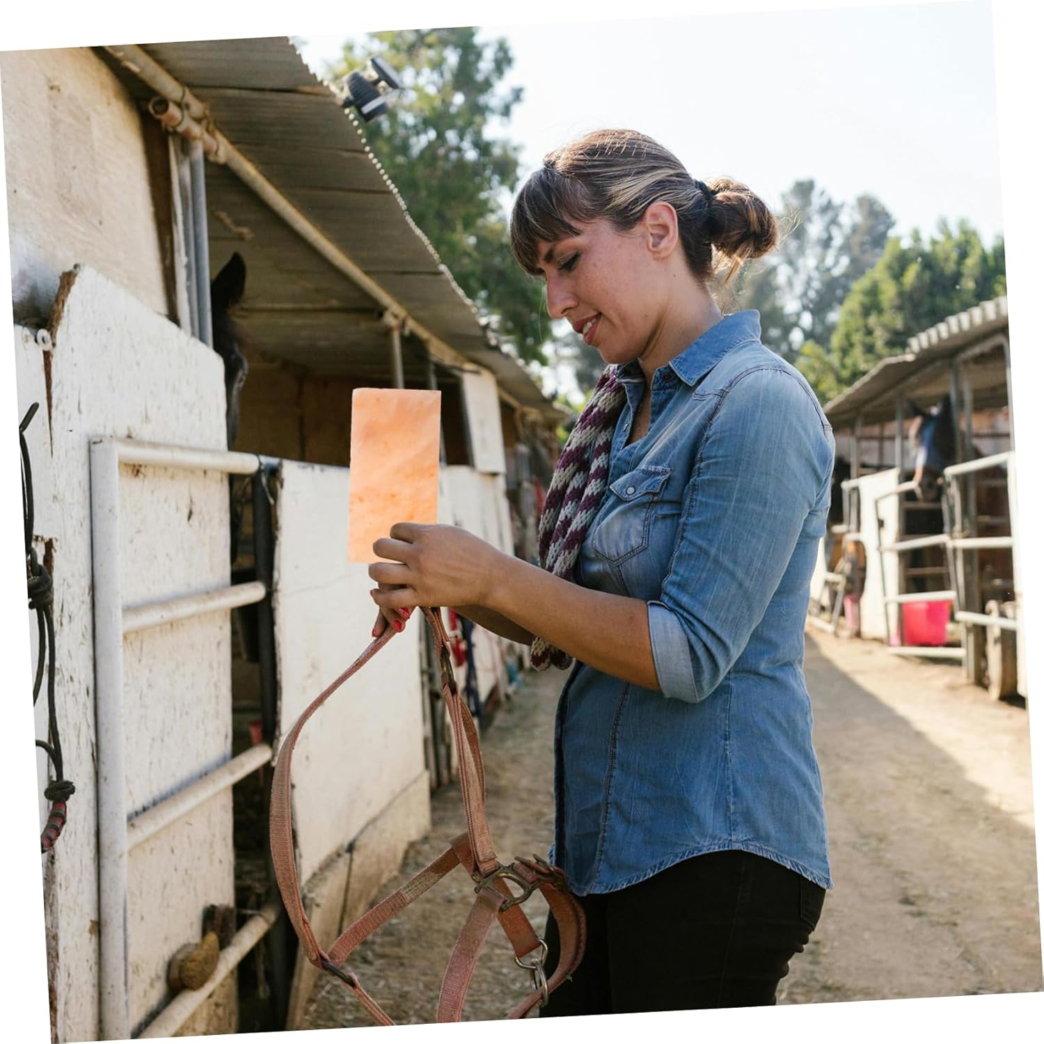 Salt Block for Livestock Mineral-Rich Licking Block Cows and Sheep Durable Design for Balanced Nutrition and Long-Lasting Use